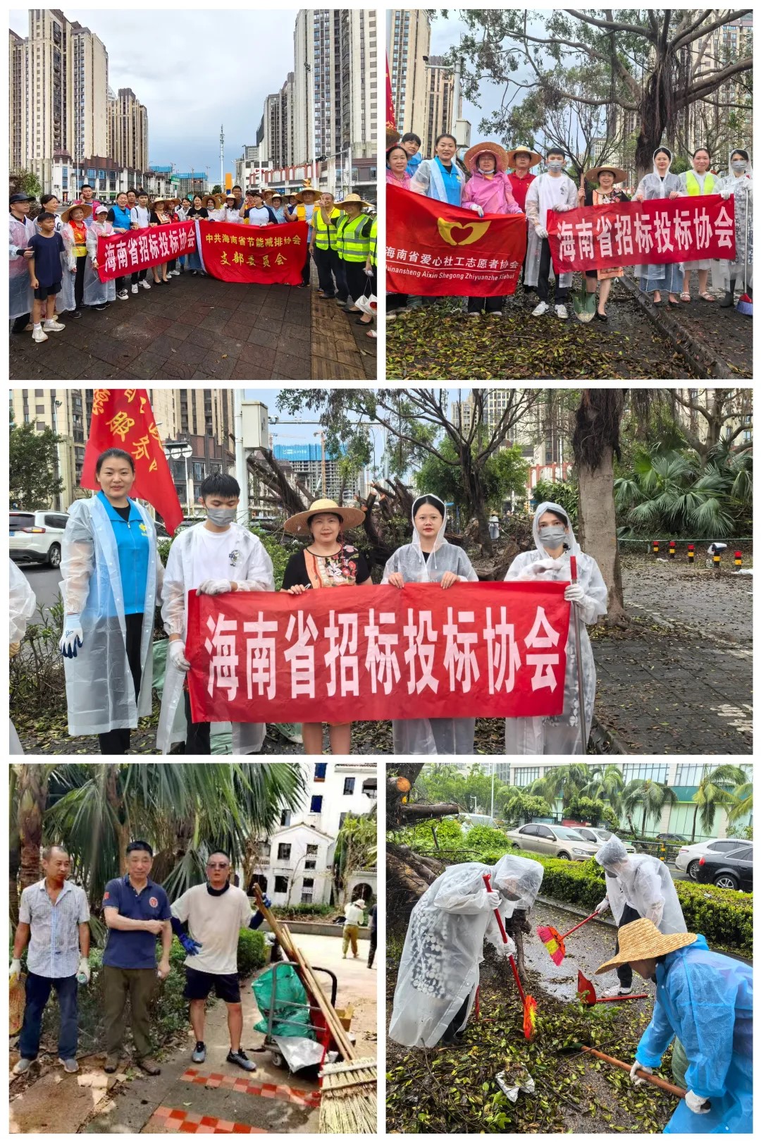 “摩羯”無(wú)情，人間有愛(ài)——海南省招標(biāo)投標(biāo)協(xié)會(huì)與會(huì)員單位積極開(kāi)展災(zāi)后重建工作